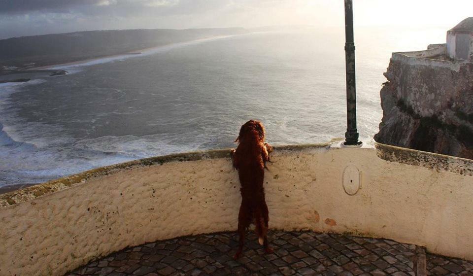 Villa Nazaré - The Little Star Extérieur photo
